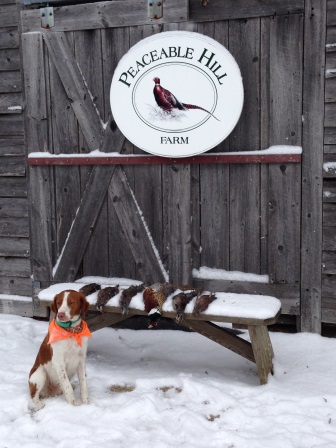Peaceable Hill Pheasant Preserve Vermont